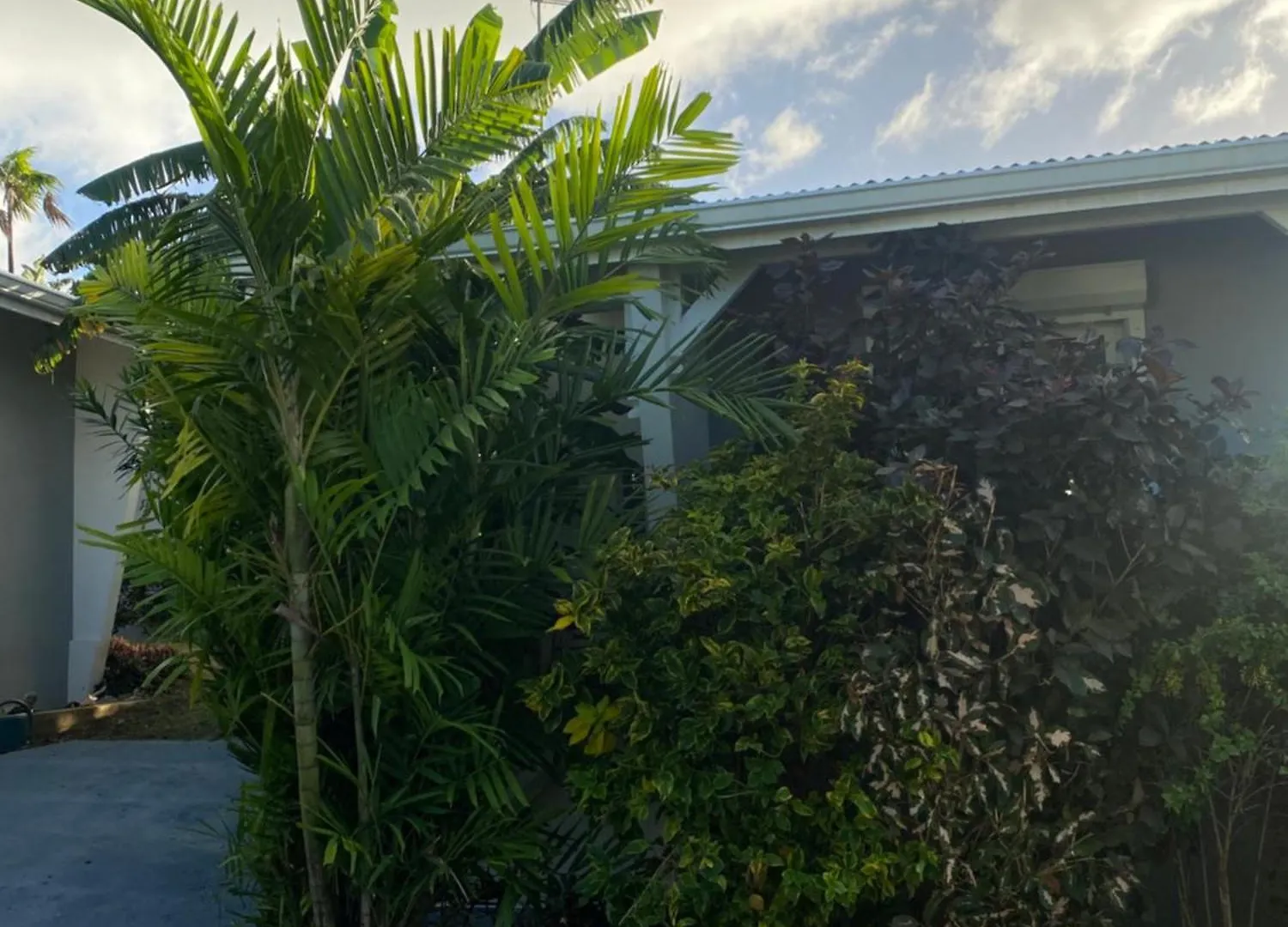 Gite Guidou Saint-Louis Guadeloupe